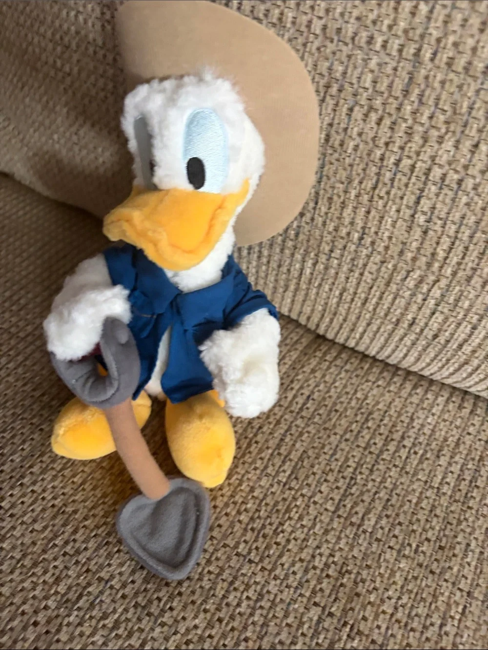 Disney Donald Paleontologist